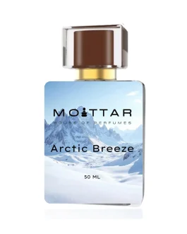 Arctic Breeze Inspired by Silver Mountain Water by Creed